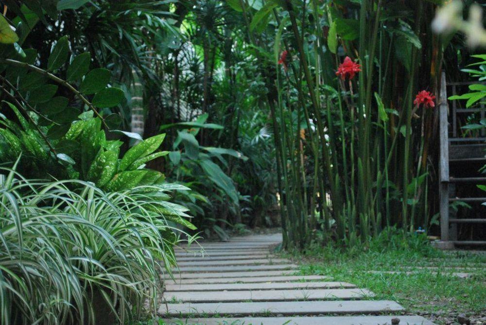 Breeze Of Pai Guesthouse Ngoại thất bức ảnh