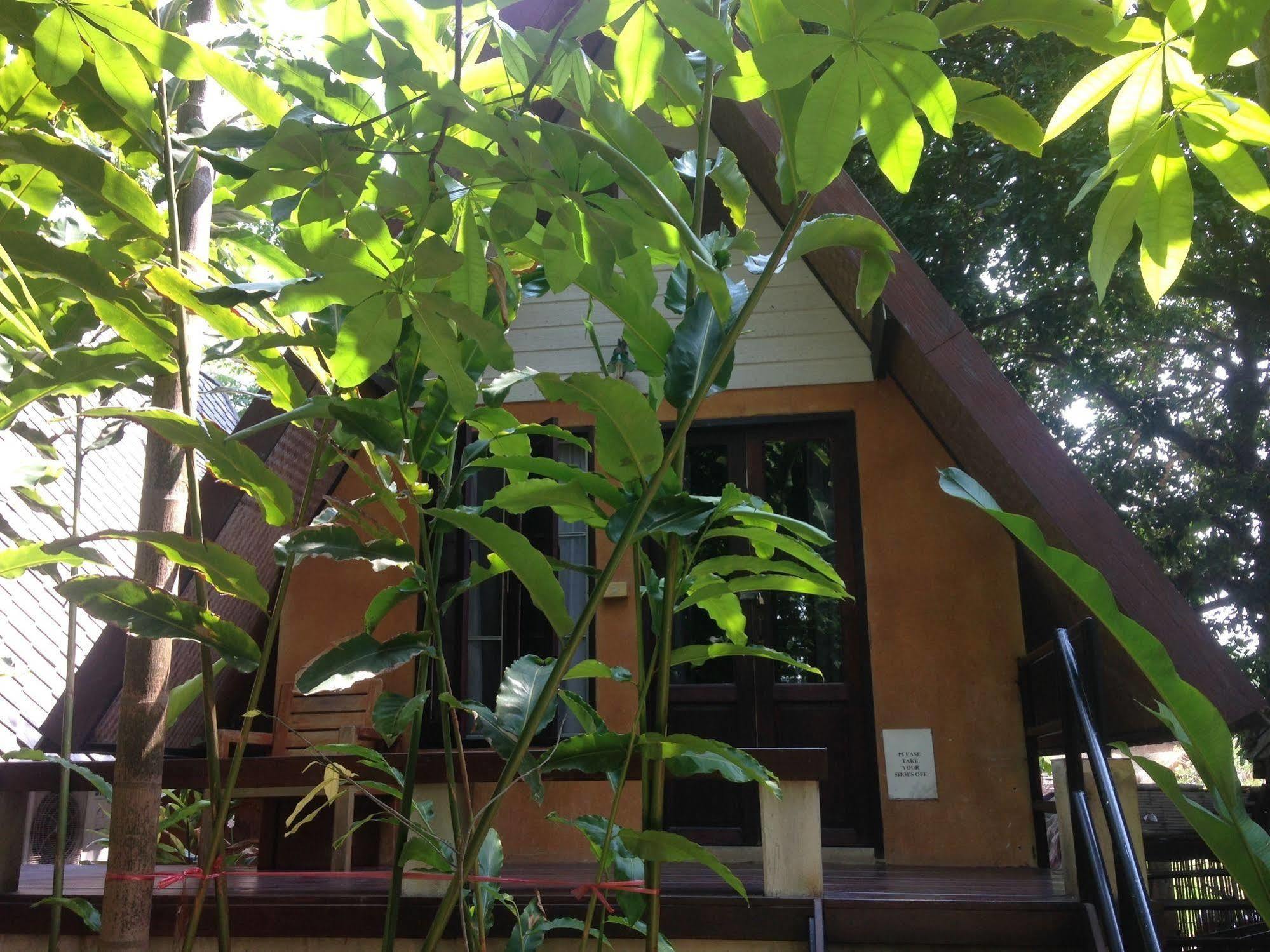 Breeze Of Pai Guesthouse Ngoại thất bức ảnh