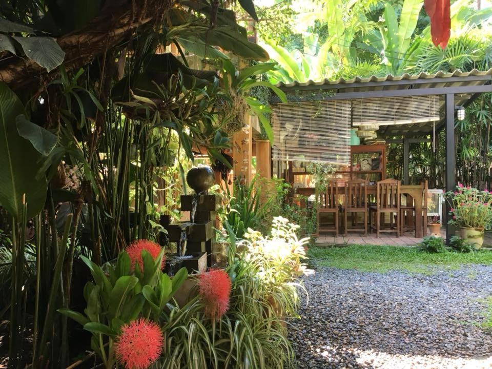 Breeze Of Pai Guesthouse Ngoại thất bức ảnh